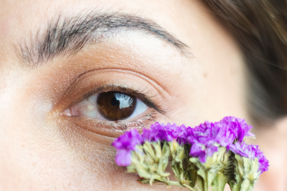 Eufrasia para los ojos: beneficios, usos y contraindicaciones